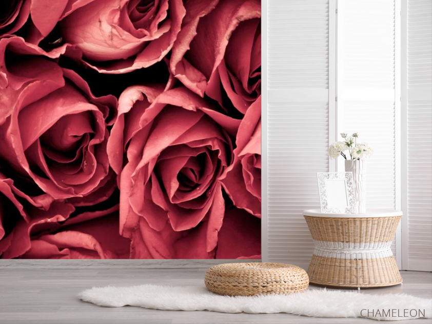 Фотошпалери Червоні троянди - 2