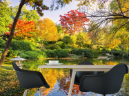 Фотошпалери осінній ліс над озером - 1