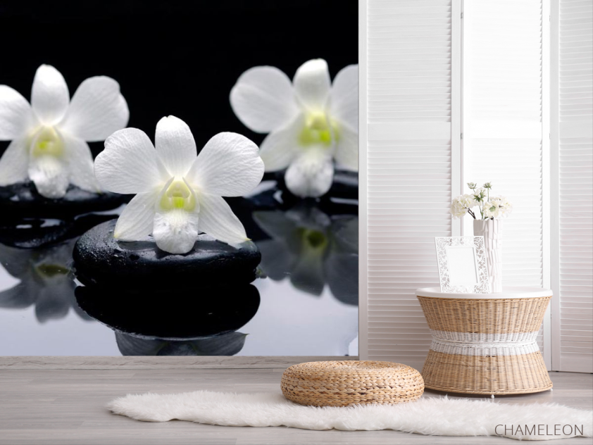 Фотошпалери Білі орхідеї на каменях - 2