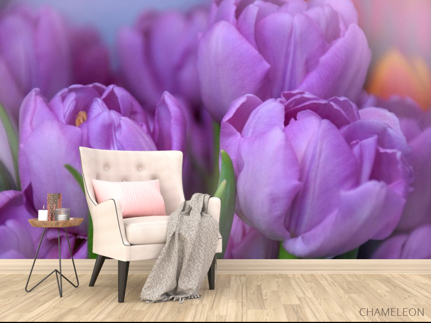 Фотообои фиолетовый тюльпан - 4