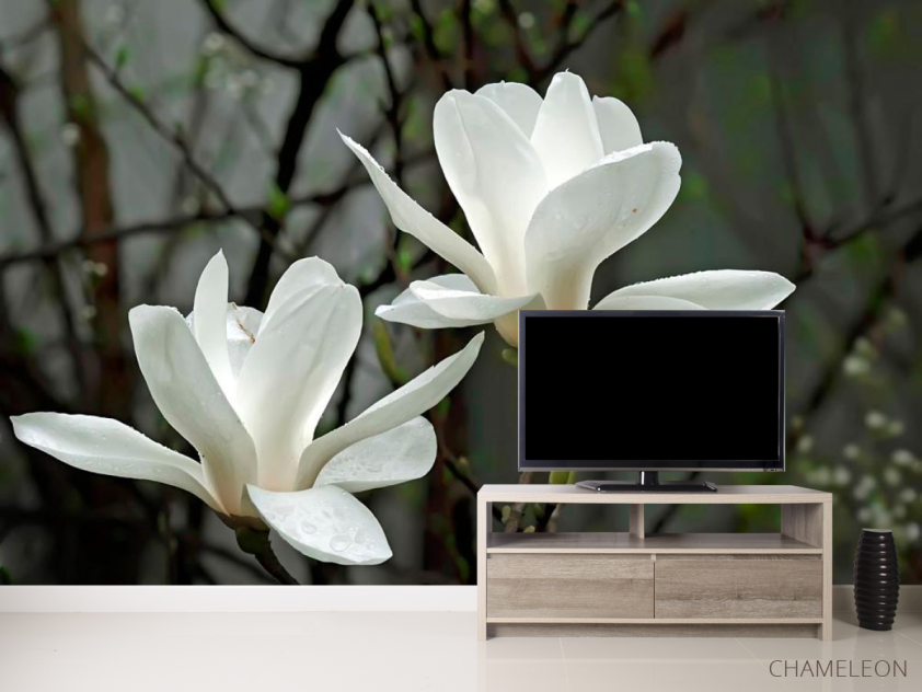 Фотообои Белоснежные цветки - 2