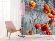 Фотошпалери червоні маки на чорно-білому тлі - 4