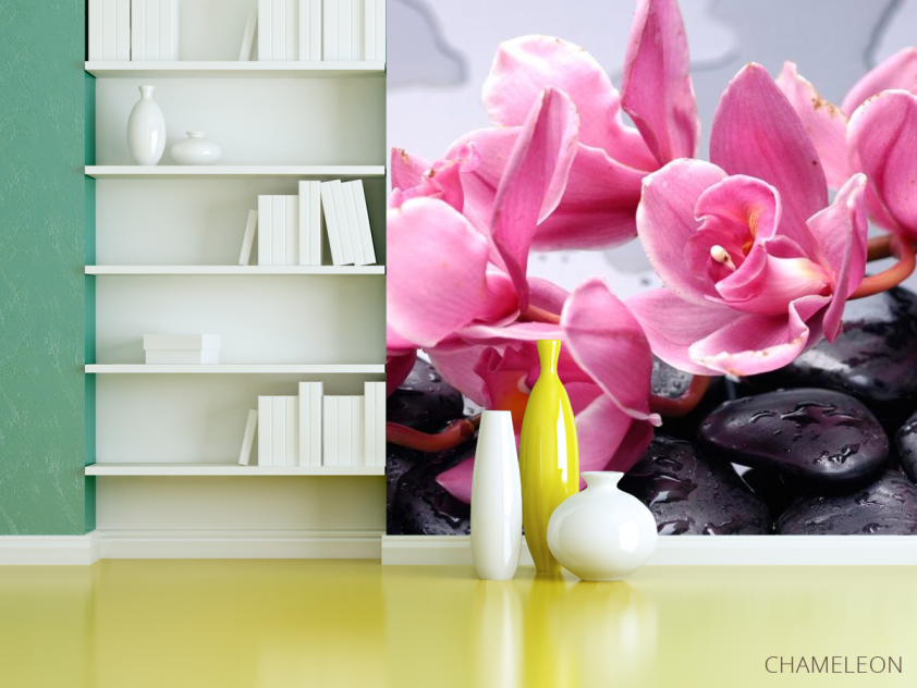 Фотошпалери Орхідеї блідо-рожеві - 3