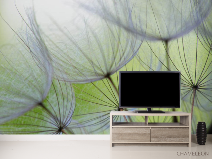 Фотообои одуванчики - 2