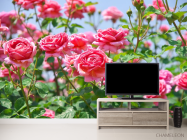 Фотообои кустарники роз - 2