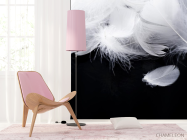 Фотошпалери білі пір'я на чорному тлі - 4