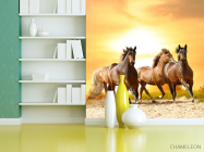 Фотошпалери Мустанги на прогулянці - 3