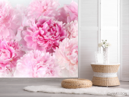 Фотошпалери Рожеві півонії - 2