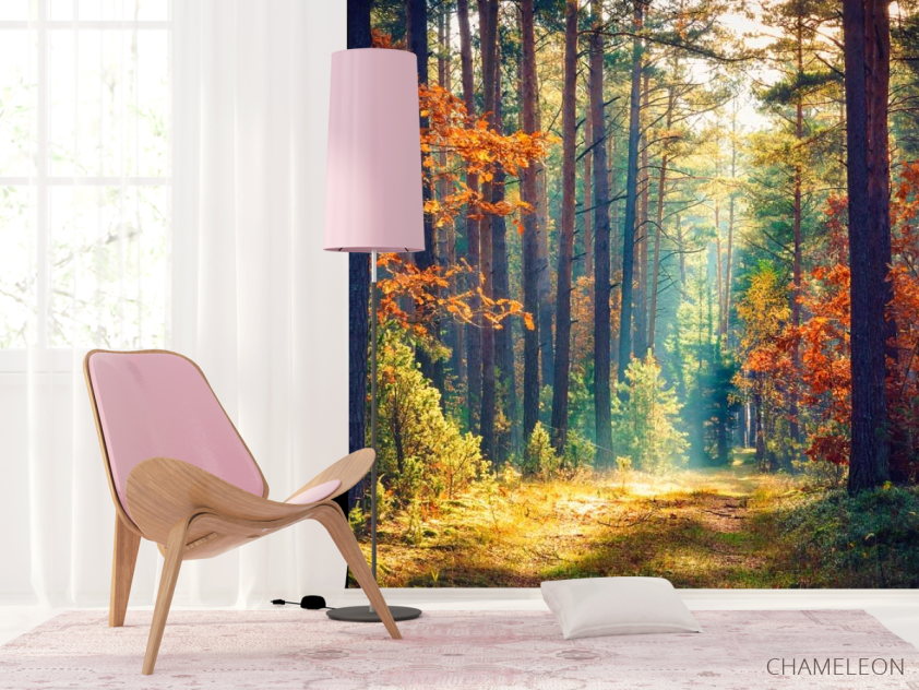 Фотошпалери вересневий ліс - 4