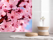 Фотошпалери Квітуче рожевим дерево - 2