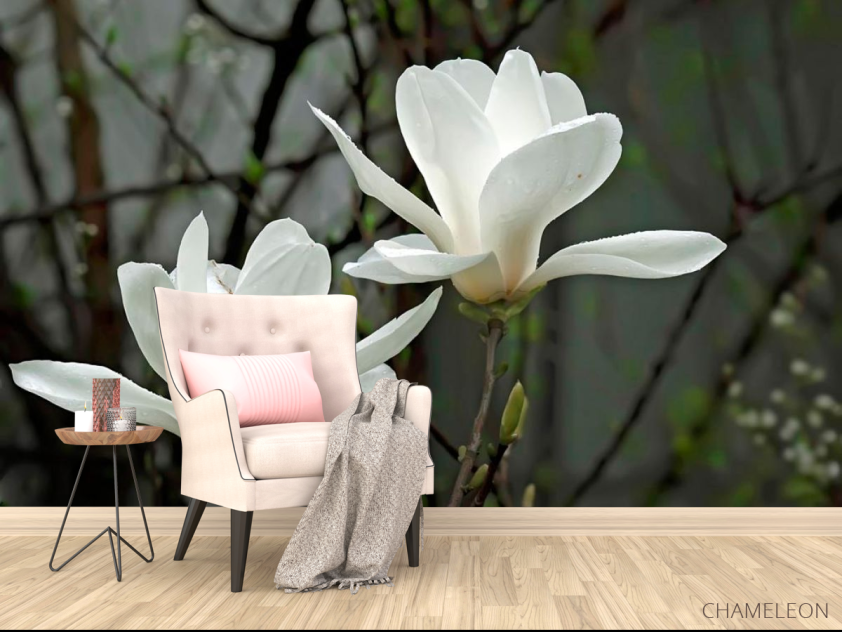 Фотообои Белоснежные цветки - 4