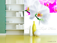 Фотошпалери Біло-рожеві орхідеї - 3