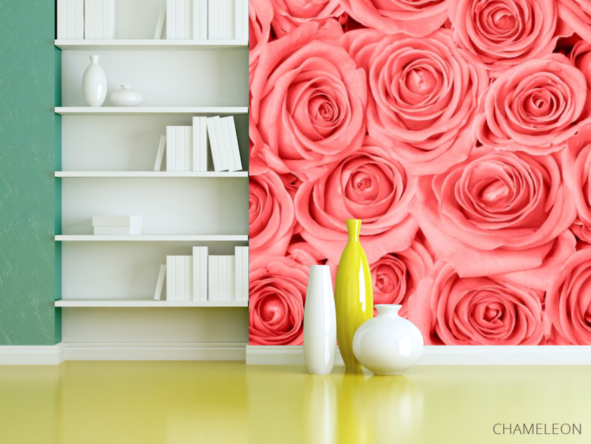 Фотошпалери Кремово-рожеві троянди - 3