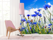 Фотошпалери Поле васильків - 4