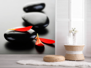 Фотошпалери Три пелюстки і камені - 2