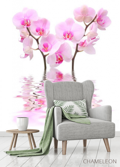 Фотообои Орхидеи бело-розовые - 3