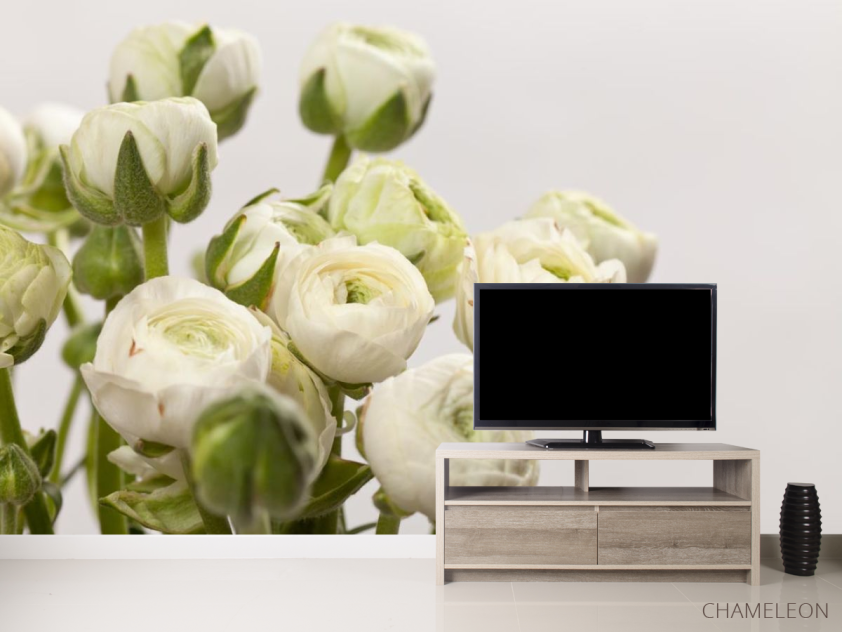 Фотообои белые круглые цветы - 2