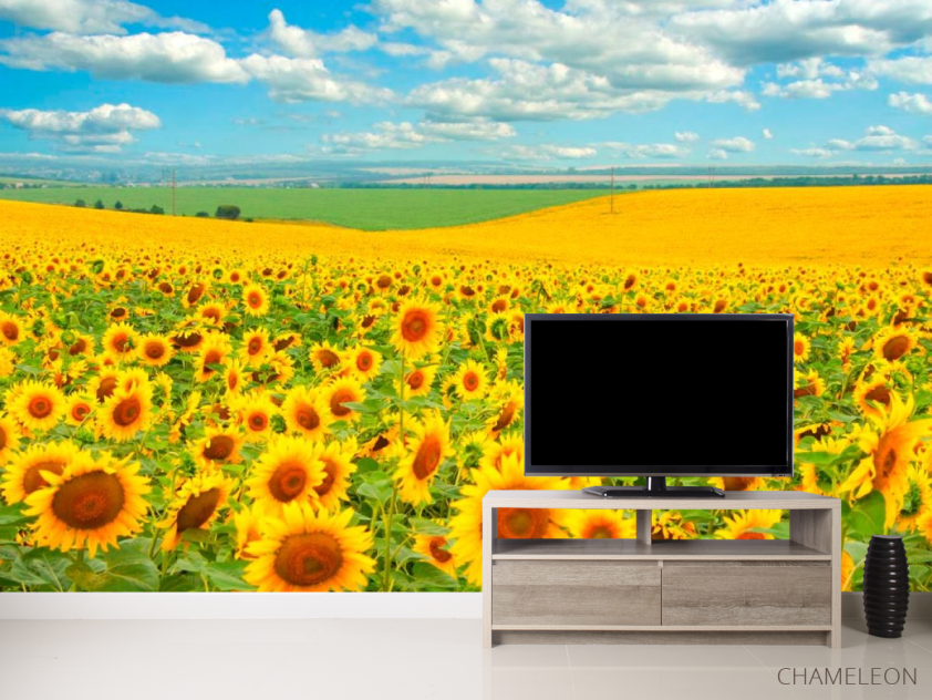 Фотообои Поле, засеянное подсолнухами - 2