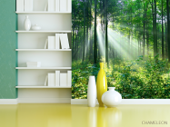 Фотошпалери зелені дерева в лісі - 3