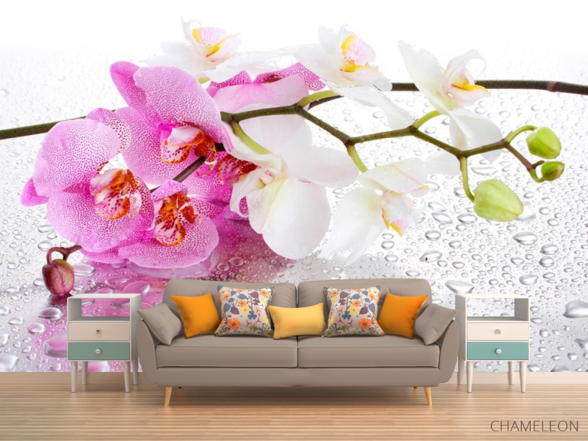 Фотообои Орхидеи розовые и белые - 1