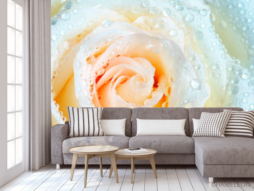 Фотообои Роза бело-бежевая - 3