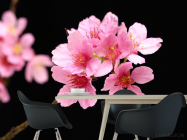 Фотошпалери Рожеві квіти персикові - 1