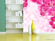 Фотошпалери Рожеві орхідеї і вода - 3