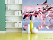 Фотошпалери Відлітають фламінго - 3