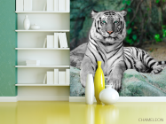 Фотошпалери Зеленоокий тигр - 3