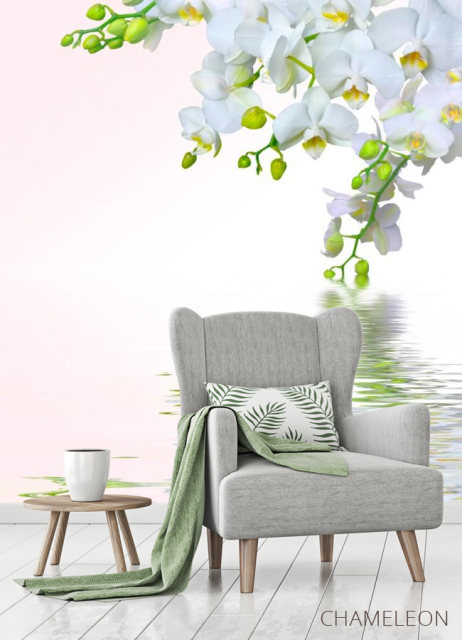 Фотообои Белоснежная омела - 3